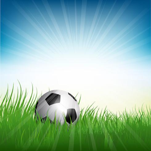 Football or soccer ball nestled in grass vector