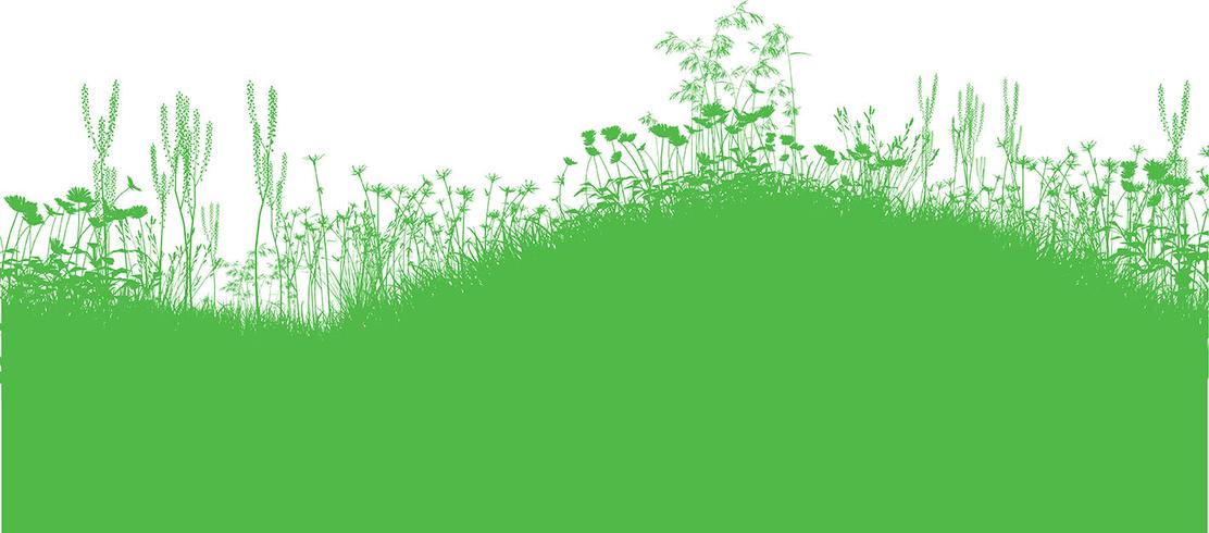 Nature Background vector