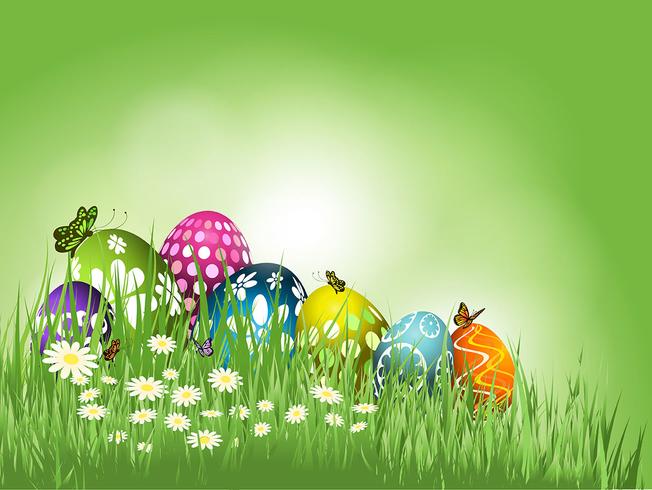 Easter eggs in grass  vector