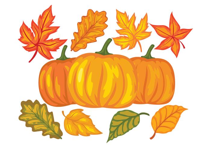 Fall Festival Design Elements vector