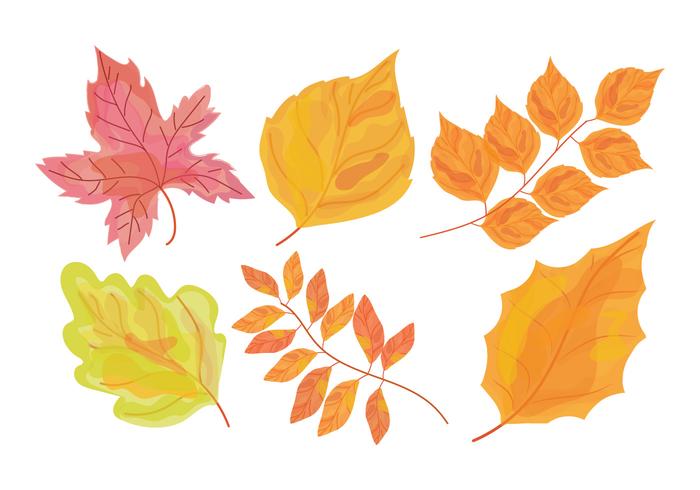 Conjunto floral acuarela de otoño vector