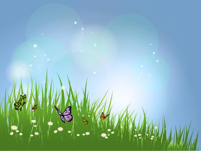 nature background  vector