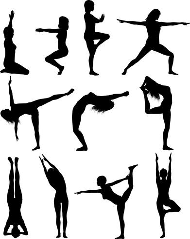 Females in yoga poses vector