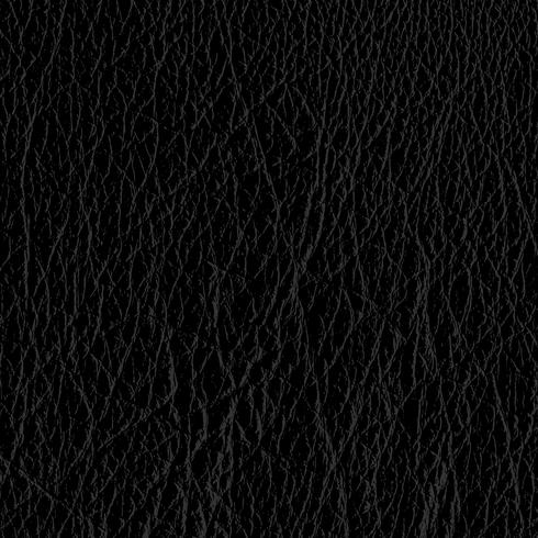 Leather texture vector