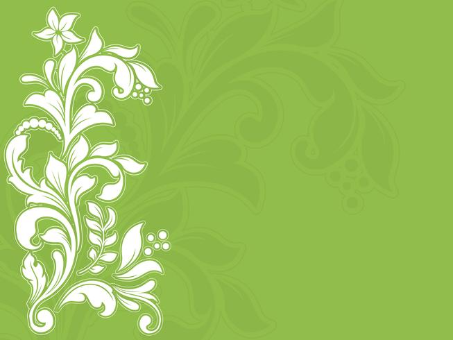 Floral abstract  vector