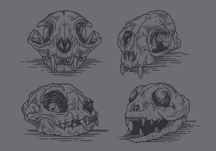 Cat Skull · RobertTritthardt - Illustrator · Online Store Powered by  Storenvy