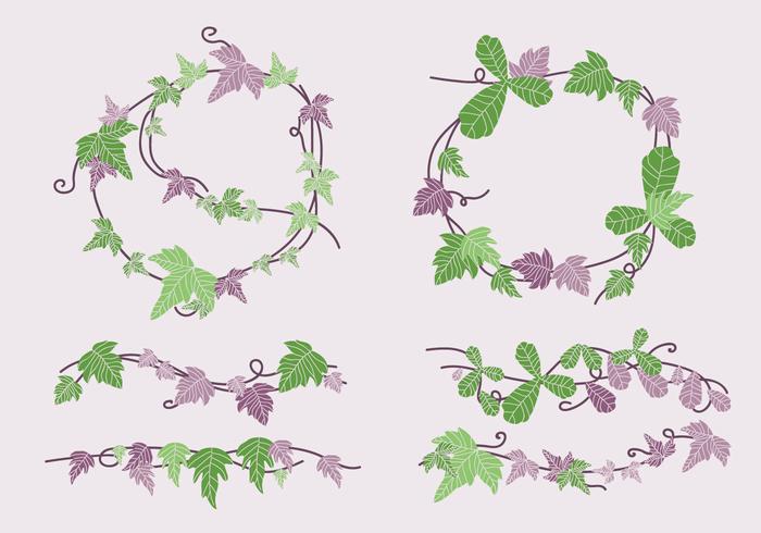 Ilustración de Vector verde y púrpura Veneno Ivy Vine