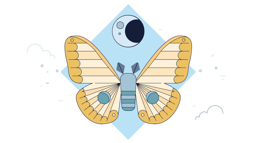 Moth Night Vector