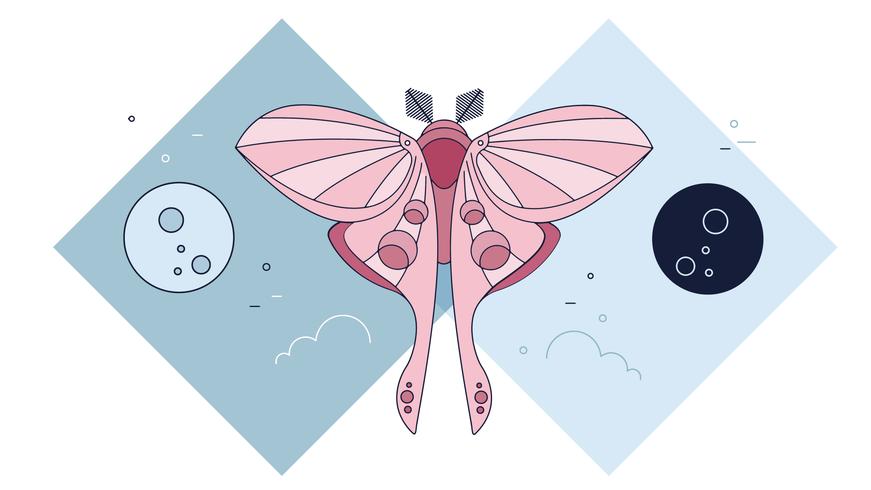 Moth Moons Vector