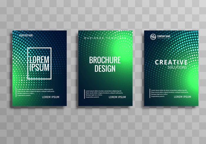 Beautiful colorful business brochure template set vector