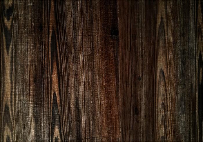 Beautiful wood texture vector background