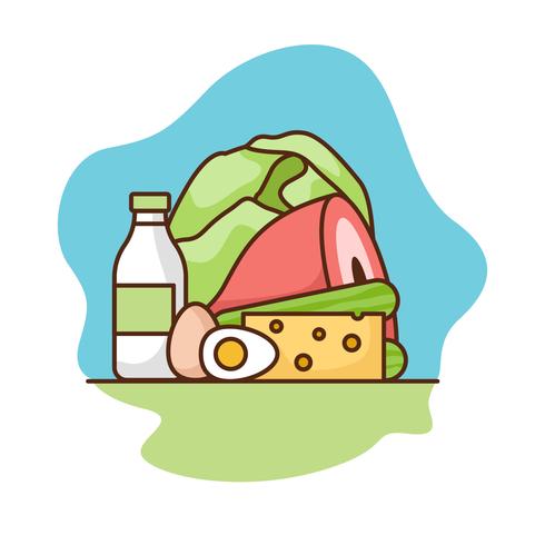 Ketogenic diet illustration vector