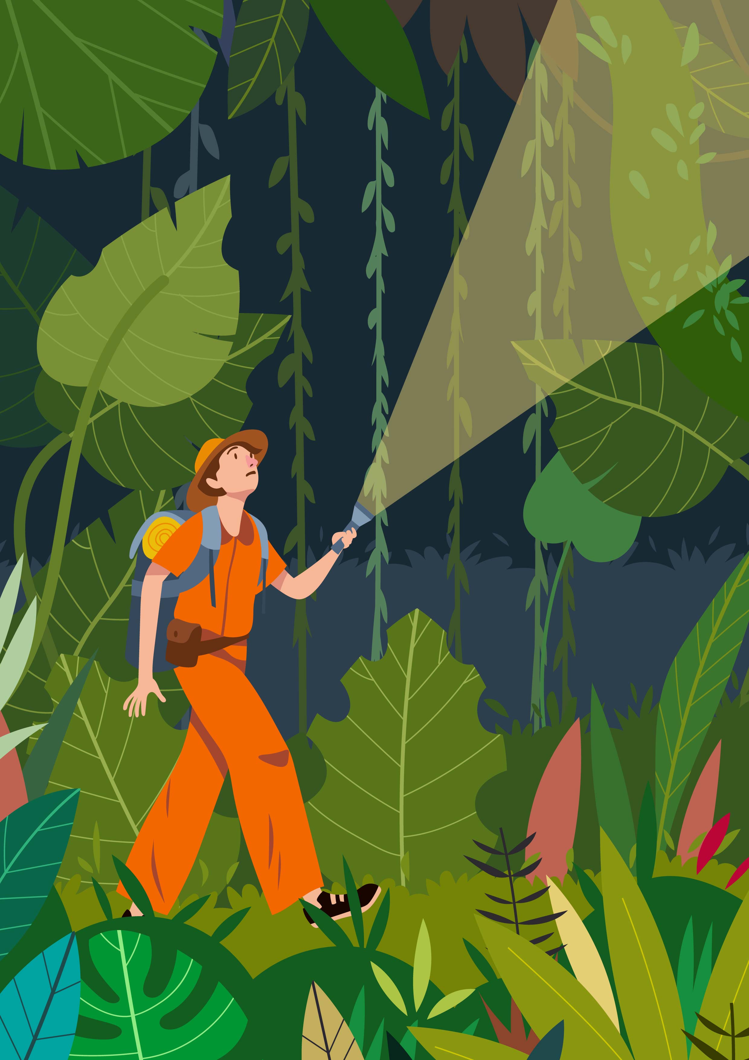 Jungle Explorers Vector Illustration 242539 Vector Art at Vecteezy