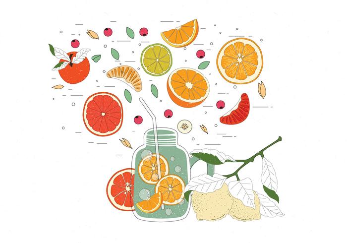 Vintage Citrus Ingredients Illustrations Vector