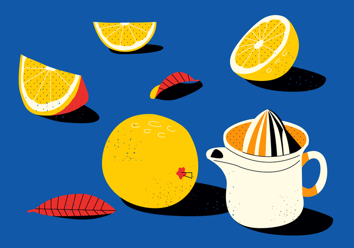 Vintage Flat Citrus Vector Illustrations