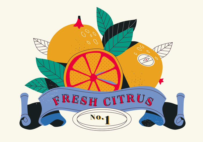 Vintage Citrus Label Illustration vector