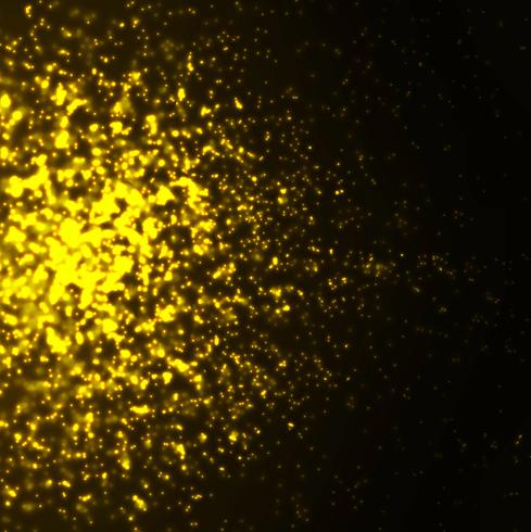 Modern glitters background vector