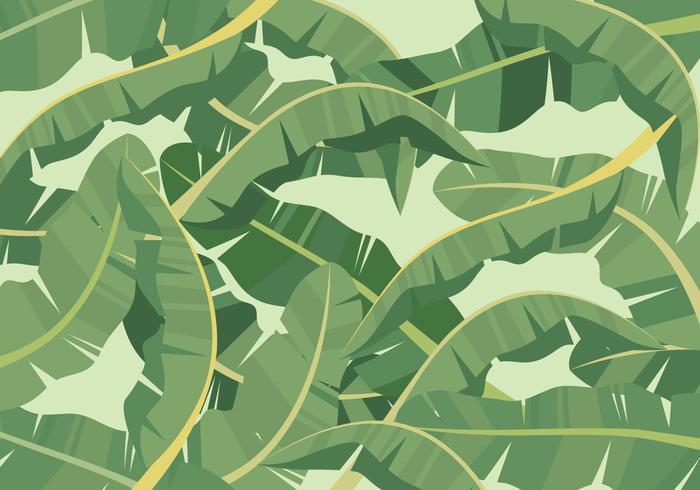 Fondo de hoja de plátano vector