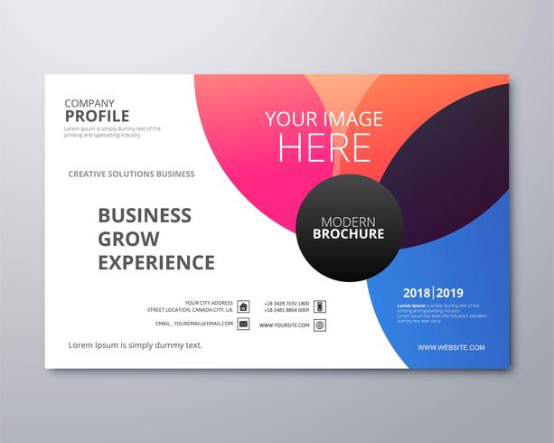 Beautiful colorful business brochure template illustration vecto vector