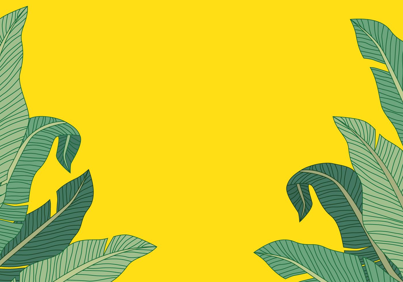 Banana Leaf Background 246040 Vector Art at Vecteezy