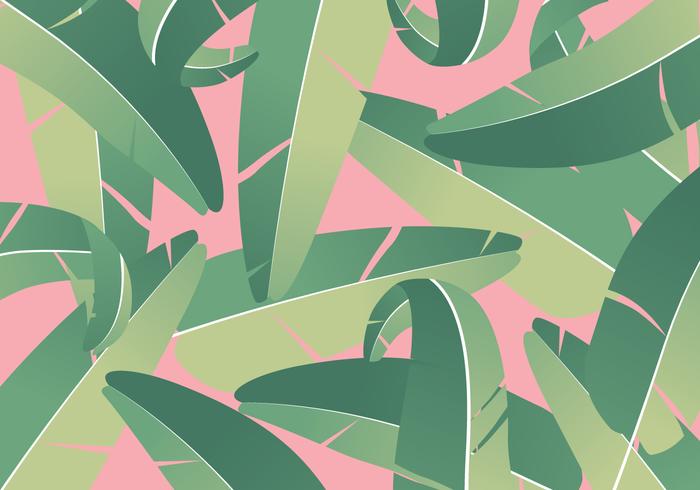 Tropical Banana Leaves Background vector