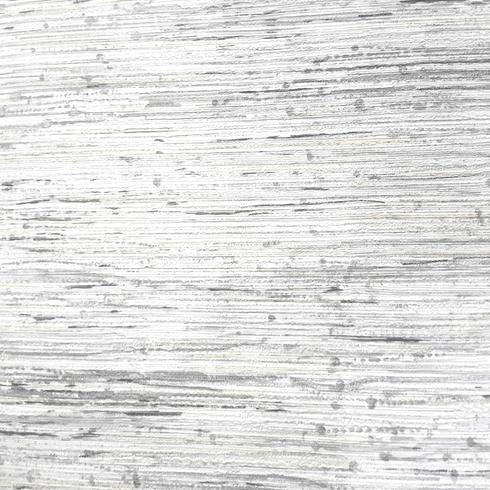 Abstract gray texture background vector