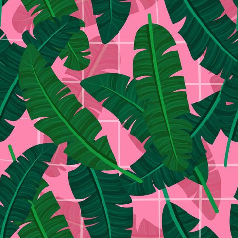 Banana Leaf On A Pink Background vector