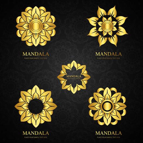 Luxury brand shiny floral design vector