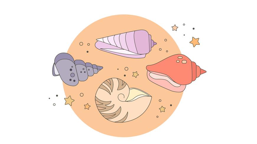 Seashells Vector