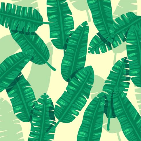 Banana Leaf Pattern Vector