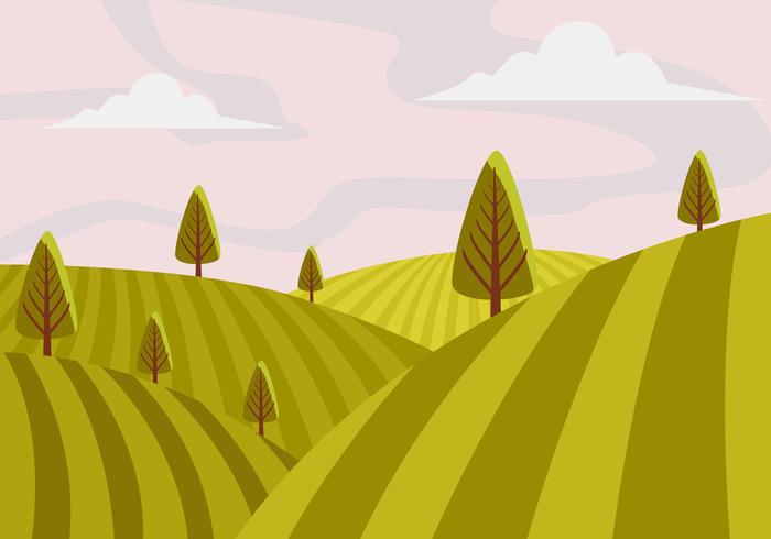 Viñedo paisaje primera persona ilustración vectorial vector