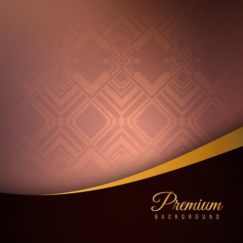 Abstract stylish premium background vector