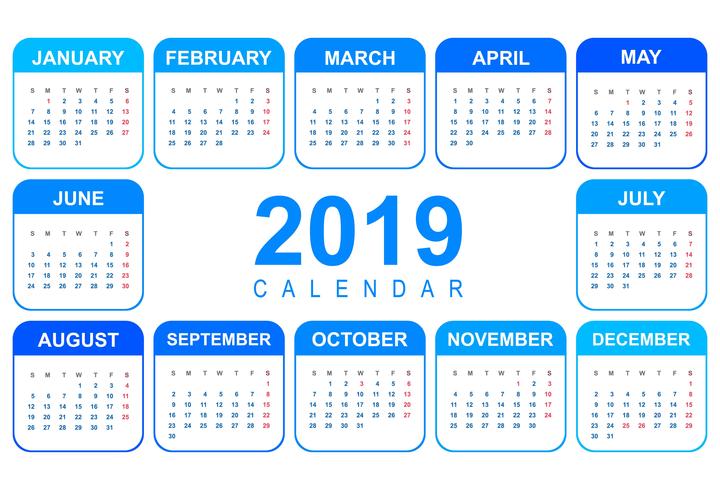 Elegante calendario colorido diseño de plantilla 2019 vector