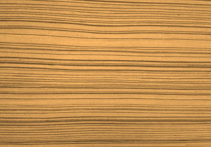 Beautiful wood texture background vector