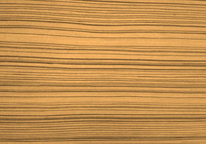 Beautiful wood texture background vector