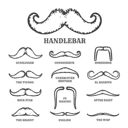 Isolated Silhouette Moustache Collection With Name of Style. Vec vector