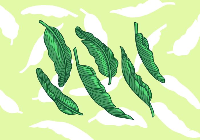 Ilustración de vector de hoja de plátano