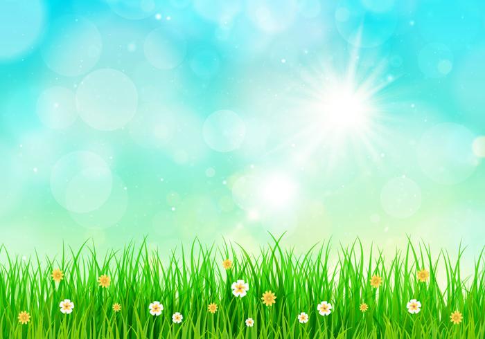 Sunny Sky Spring Background vector