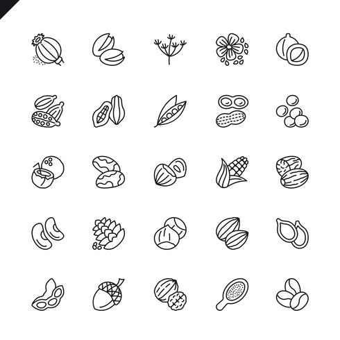 Thin line nuts, seeds and beans elements icon set vector