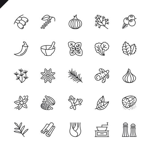 Thin line spices, condiments and herbs icon set vector