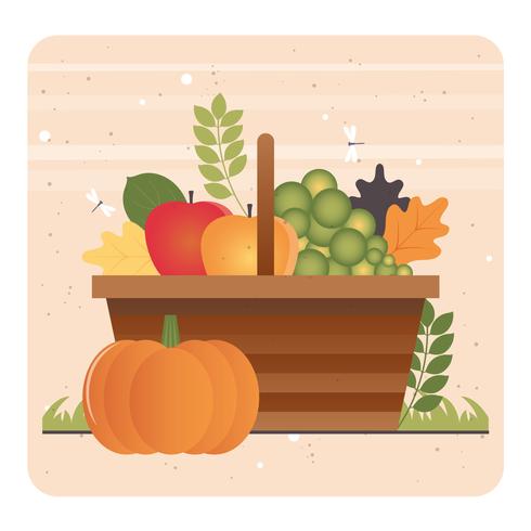 Vector ilustración de elementos de otoño