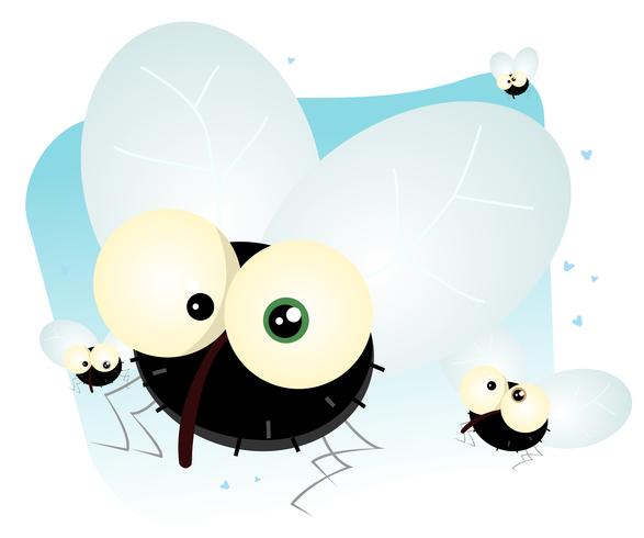 Cartoon Housefly vector