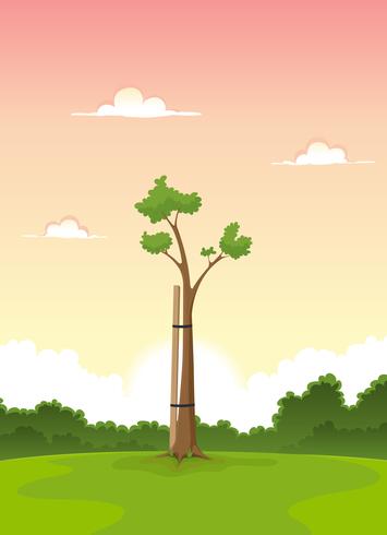 Árbol Joven De Primavera - Mañana De La Vida vector