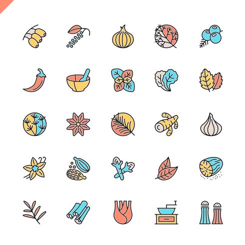 Iconos de línea plana de especias, condimentos y hierbas para el sitio web, el sitio móvil y las aplicaciones. Esquema de los iconos de diseño. 48x48 Pixel Perfect. Pack de pictogramas lineales. Ilustracion vectorial vector