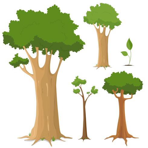 Tree Collection vector