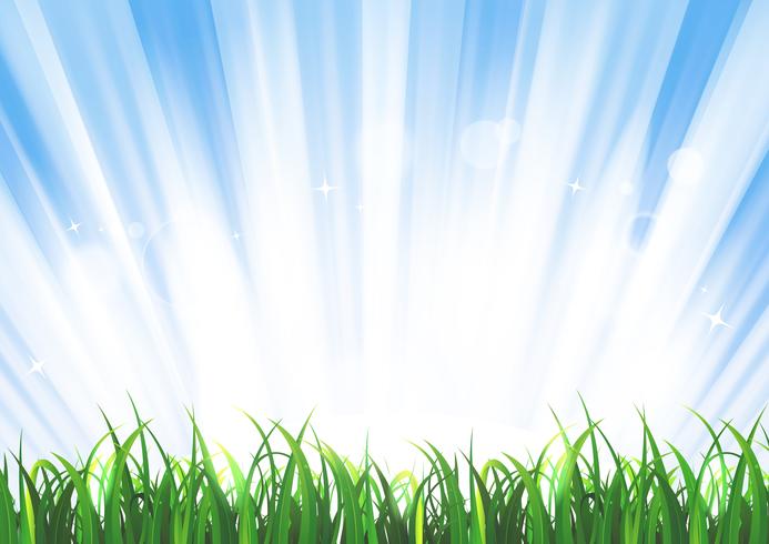 Spring Or Summer Sunrise Grass Landscape vector