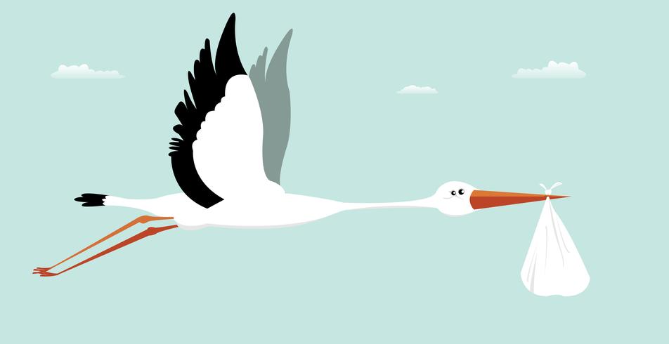 Stork Delivering Baby - It's A Boy vector