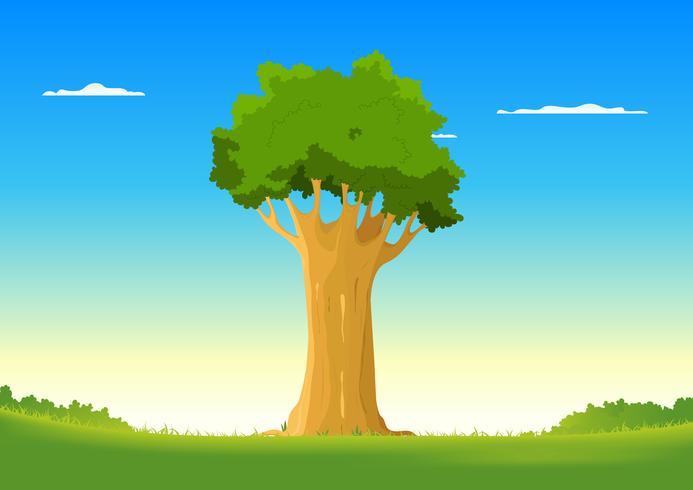 Oak In Spring Field vector