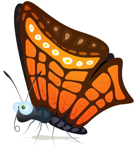 Mariposa vector