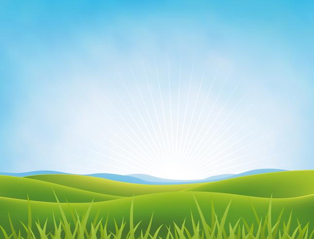 Summer Or Spring Meadows Background vector